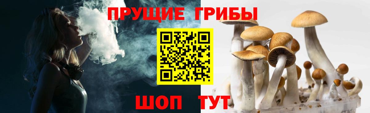 Псилоцибиновые грибы MAGIC MUSHROOMS  Галлюциногенные грибы ЛСД  Вход с VPN  Зеленодольск 